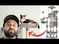 I bought a Feandrea Cat Tree from amazon