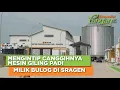 Download Lagu Punya 3 Silo Raksasa, Pabrik Penggilingan Padi di Sragen Punya Teknologi Supercanggih