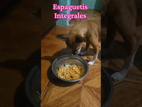 Espaguetis integrales como le gusta a Odi #amor #cocina #cocinafacil #cocinaconsabor #chihuahua