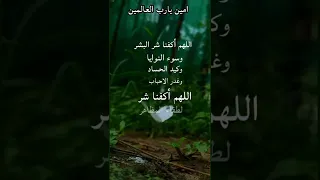 اللهم أكفنا شر البشر وسوء النوايا وكيد الحساد وغدر الاحباب اللهم امين يارب العالمين 