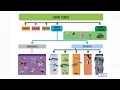 Animal Classification Classifying Animals by Characteristics