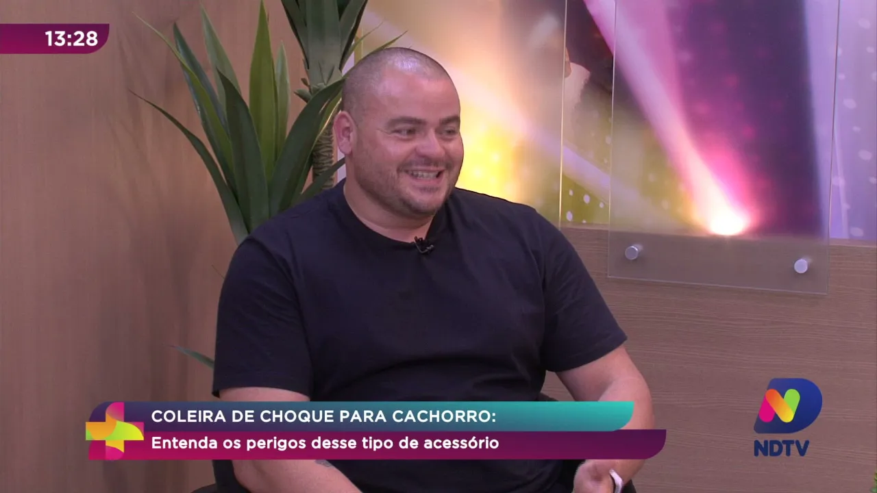 Coleira de choque para cachorros: entenda os perigos desse tipo de equipamento