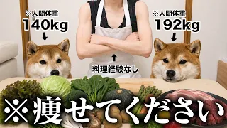 【限界】 デブすぎる愛犬2匹に手作りご飯を作った結果..「不安・焦り・震え」が止まらない柴犬こまちゃん。。