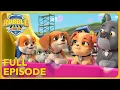 The Pups Build a Splash Park Full Episode Rubble and Crew Cartoons for Kids