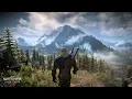 The Witcher 3: Wild Hunt OST "The Fields of Ard Skellig"