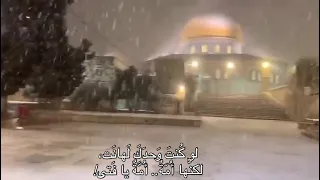 هيا الدنيا ورب البيت تفنى دندنها