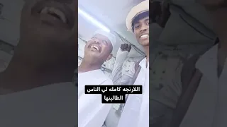 ود البله فرع الجوافه 