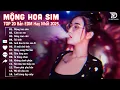 Download Lagu Mộng Hoa Sim Remix ♫ BXH Nhạc Trẻ EDM Hot Trend TRIỆU VIEW - Top 15 Bản EDM TikTok Hay Nhất 2025