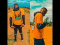 Marapo Niqqa