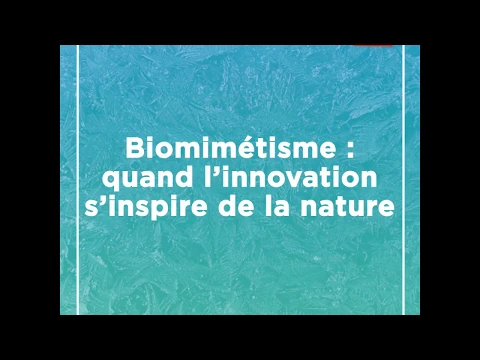 Regardez Biomimetisme : quand l'innovation s'inspire de la nature - analyse en vidéo sur YouTube.