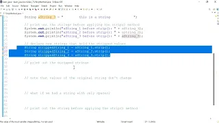 Java 75 The strip method