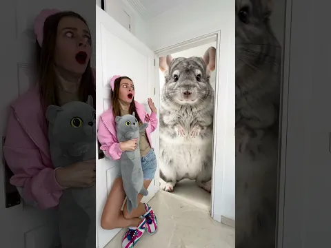 OMG Rumi Was Found By A GIANT CAT 🐍😨