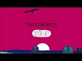 David Guetta - Shot Me Down ft. Skylar Grey (Lyric Video)