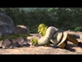 donkey