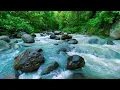 Mountain stream flowing Forest river stream Flowing water white noise for sleeping