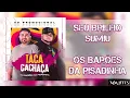 SEU BRILHO SUMIU - Os Barões da Pisadinha (Áudio Oficial)