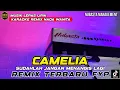 Lagu CAMELIA - REMIX LAMPUNG NUBASTA KARAOKE NADA WANITA