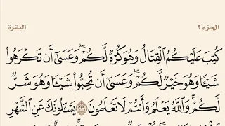 سورة البقرة مكررة من آية 216 إلى 219 القارئ وديع اليمني 