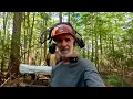 BACK TO THE WOODS WITH LADY BILL