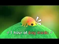 BUG MUSIC NO AI 1 hour of silly tunes for bugs and little creatures