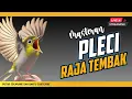 Download Lagu 🔴 LIVE Masteran PLECI Raja Tembak