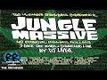 Download Lagu 🎧 DJ HYPE | Jungle Massive | 2001 | Scratch Assassin in Full Effect!