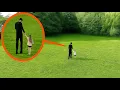 Download Lagu If you ever see the Tall People, Do Not Follow Them... RUN away as fast as you can!!