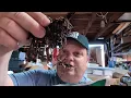 Beech-Nut Wintergreen Chewing Tobacco for the First Time