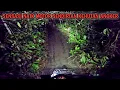 Download Lagu NAIK MOTOR MASUK HUTAN SAAT HUJAN JAM 12 MALAM! BEGINI SENSASI DIGANGGU SETAN DIHUTAN!