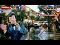 Download Lagu Deddy Damhudi ❤️ JATUH CINTA #tembangkenanganterpopuler