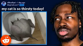 Reddit Might Be The WORST Site Ever