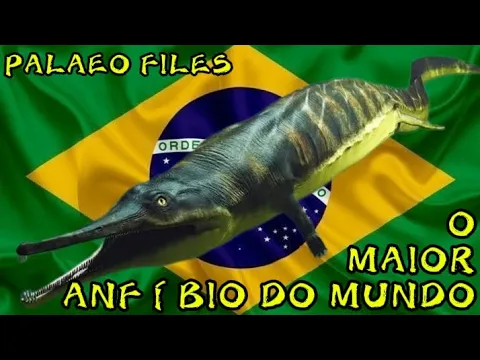 Vídeo do YouTube