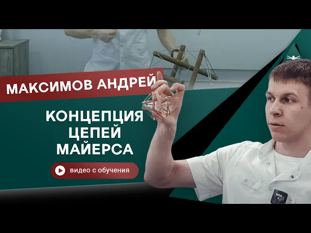 Анатомические поезда. Миофасциальные цепи. Введение. Максимов Андрей