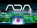 Download Lagu EVERY Aquarium inside the FAMOUS ADA Japan Gallery