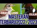 Download Lagu Terbaru 2022/2023 Masteran burung Sikatan londo dan Cililin ini ...
