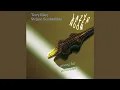 Lagu Terry Riley \u0026 Stefano Scodanibbio - Lazy Afternoon Among the Crocodiles (1997 | Full Album)