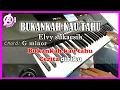 Download Lagu BUKANKAH KAU TAHU - Elvy Sukaesih - Karaoke Dangdut Korg Pa300