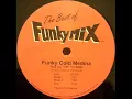 Download Lagu Tone Loc - Funky Cold Medina (Funkymix)