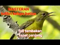 Download Lagu MASTERAN KORLAP BETINA FULL TEMBAKAN RAPAT PANJANG bagus buat masteran dan pancingan #kolibrikelapa