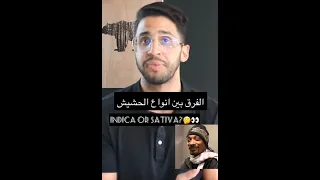 الفرق بين أنواع الحشيش حشيش ماريجا تدخين 