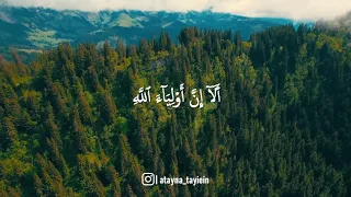 ألا إن أولياء الله لا خوف عليهم ولا هم يحزنون  منصور السالمي دندنها