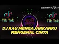 Lagu DJ TIK TOK TERBARU 2023 ll KAU MENGAJARKANKU MENGENAL CINTA ll KEPASTIAN RASA ll FULL BASS