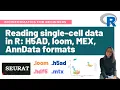 Reading single-cell data in R H5AD loom MEX AnnData formats Bioinformatics for beginners