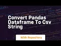 convert pandas dataframe to csv string