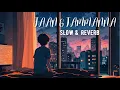 Download Lagu jane tamanna jaan ada full song |SLOWED \u0026 REVERB| @rafilofi_2274