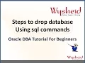 How to drop or delete an oracle database using sql commands Startup mount exclusive