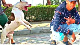 فيلم قصير طريق الإجرام  لي كيتعنا بالقوة كيموة بالضعف الجزء الأول دندنها