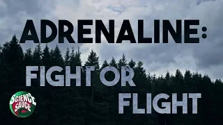 Adrenaline Fight Or Flight A Video About Fear 