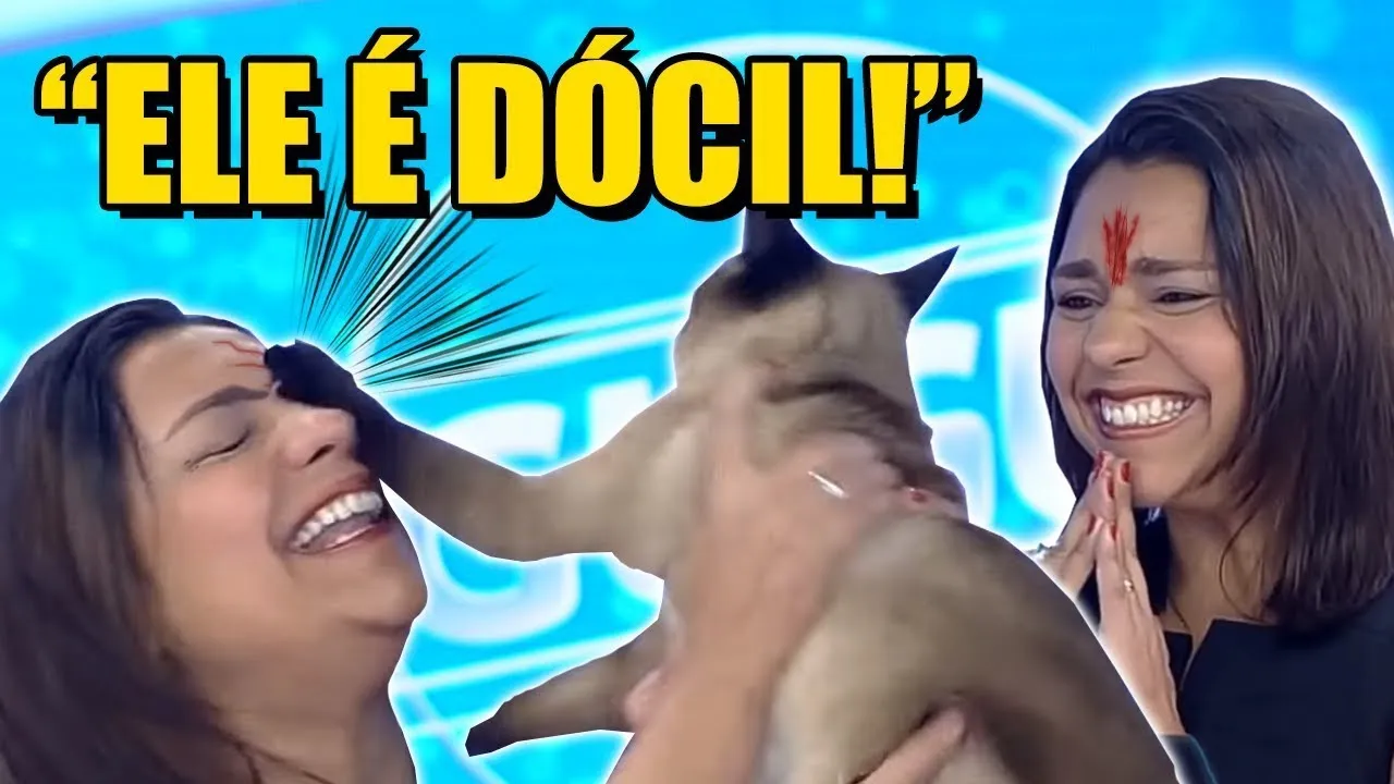 MOMENTOS QUE DERAM ERRADO NA TV! #2
