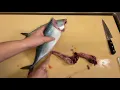 【鯖】捌き方～鯖きずし